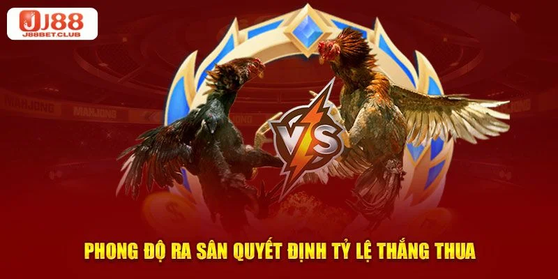 Cược đá gà J88 muốn thắng lớn cần có kinh nghiệm chơi khôn ngoan.
