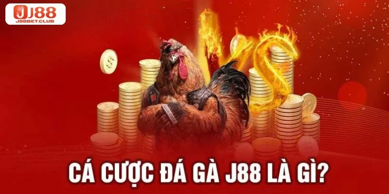 Cược đá gà J88 là sảnh chơi uy tín hàng đầu hiện nay. 