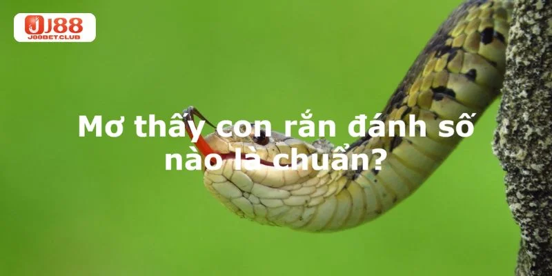 Mộng mơ thấy rắn và những con số liên quan