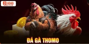 Mẹo Cược Mẹo cược đá gà Thomo Ẵm Trọn Tiền Thưởng - J88